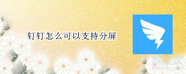 釘釘怎么可以支持分屏