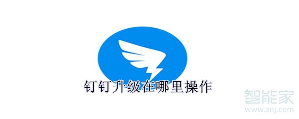 釘釘升級在哪里操作