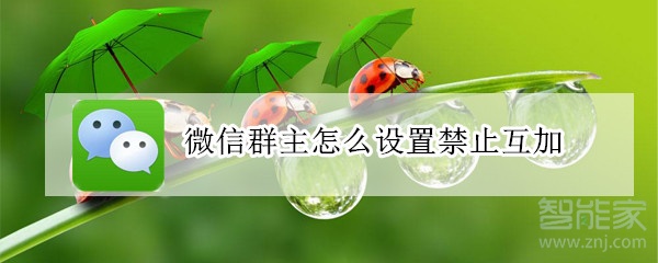 微信群主怎么設置禁止互加