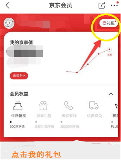 京東生日禮包在哪里領