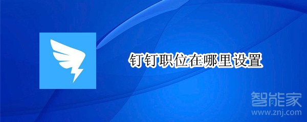 釘釘職位在哪里設置