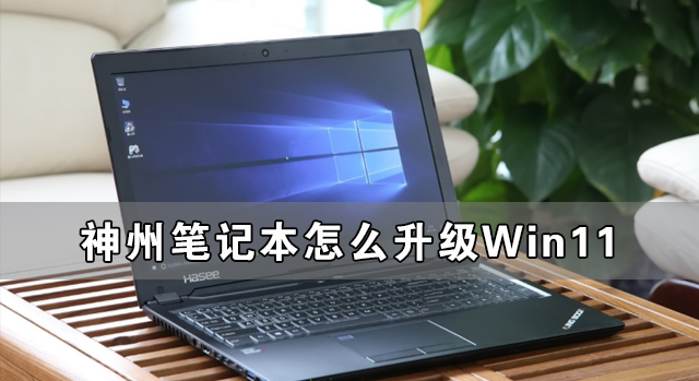 神州筆記本怎么升級Win11 神舟電腦升級Win11詳細教程