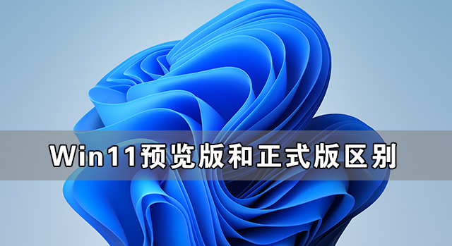 Win11預覽版和正式版有什么區別