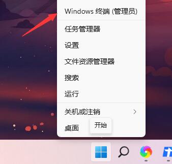 Win11開機綠屏怎么辦 Win11開機綠屏的解決方法