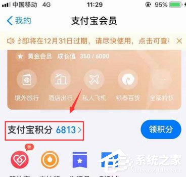 支付寶積分在哪里看？支付寶積分查看方法