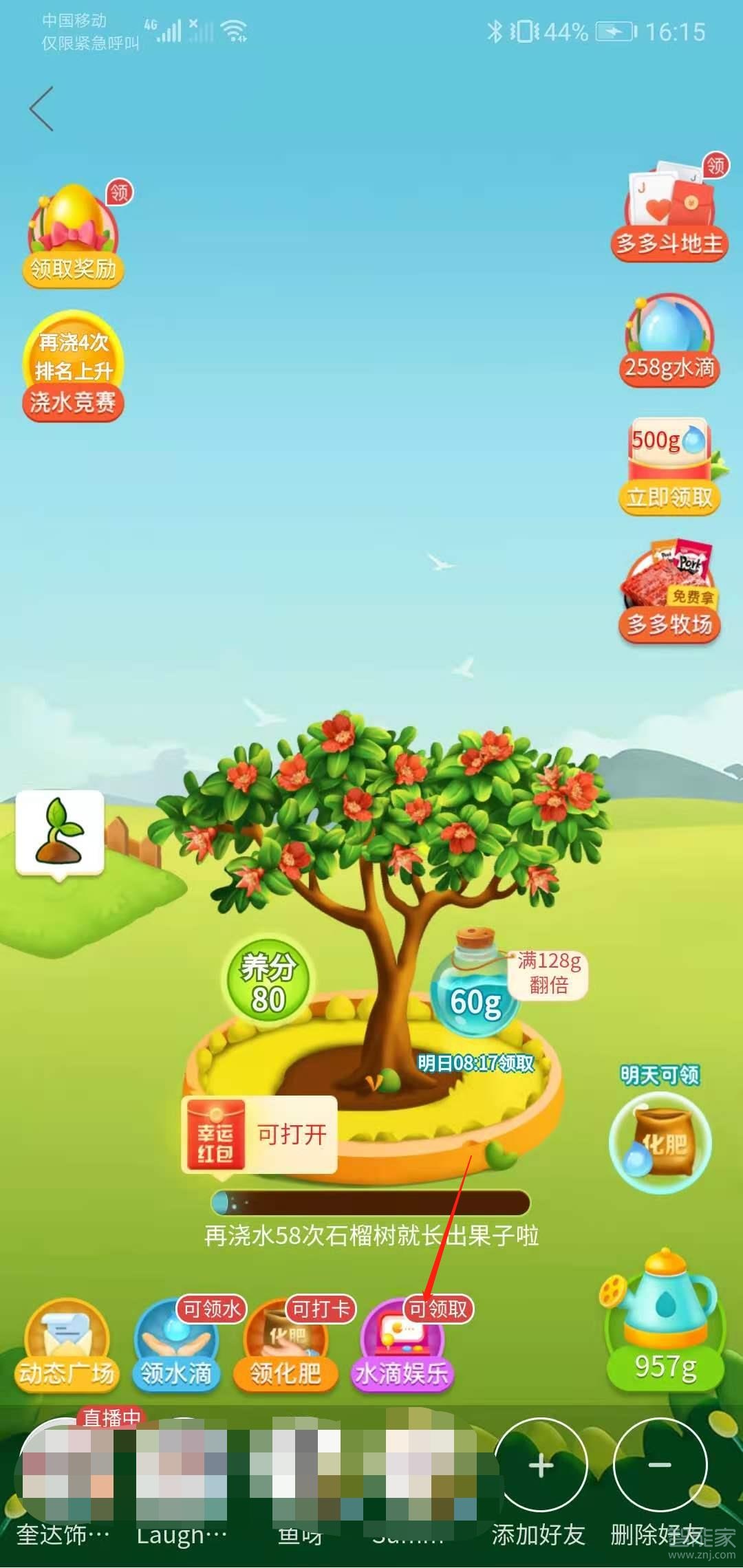 拼多多果園一鍵澆水在哪里