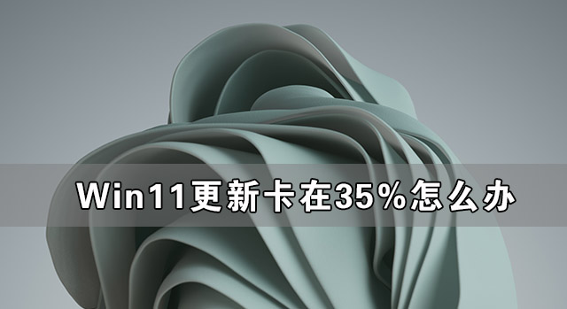 Win11更新卡在35%怎么辦 Win11更新卡在35%的解決辦法