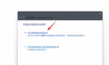 Win11鍵盤鼠標(biāo)失靈怎么辦?Win11鍵盤鼠標(biāo)失靈的解決方法