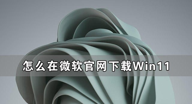 怎么在微軟官網(wǎng)下載Win11 如何從微軟官網(wǎng)下載Win11