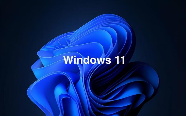 Win11專業版和家庭版哪個好用?Win11專業版和家庭版對比