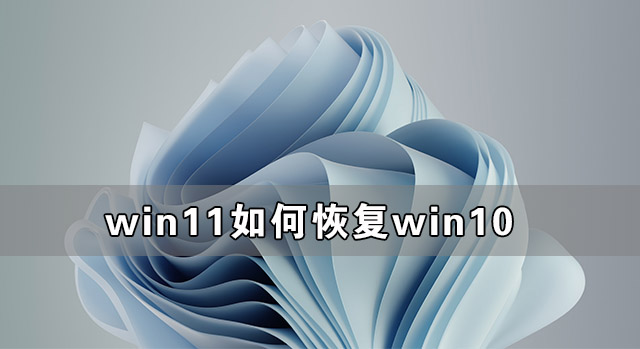 Win11如何恢復到Win10 Win11恢復到Win10教程