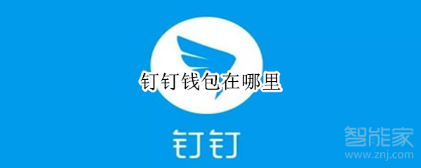 釘釘錢包在哪里