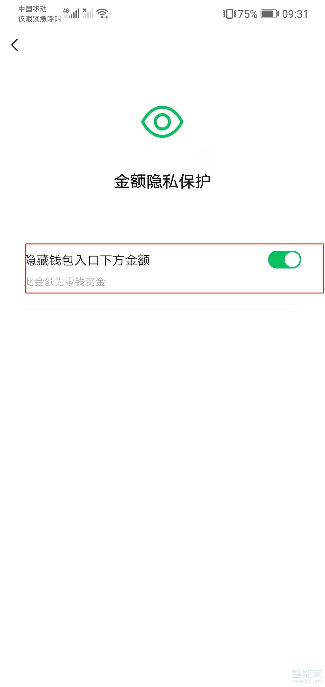 不想讓人看零錢通金額