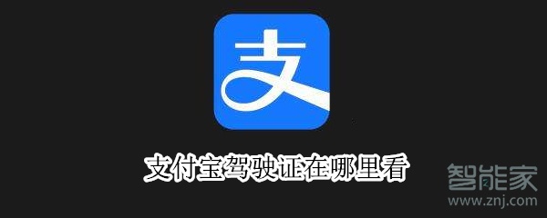 支付寶駕駛證在哪里看