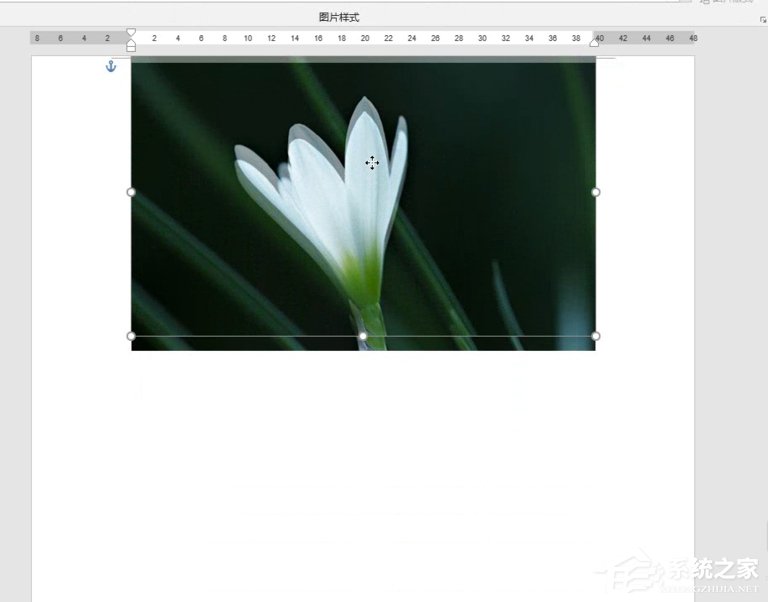 Word如何制作雙重曝光特效?制作雙重曝光特效的方法