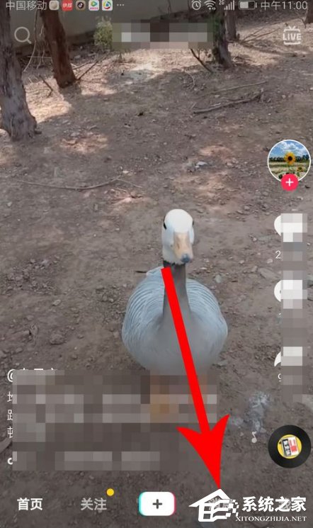 如何創建抖音群聊？創建抖音群聊的方法步驟