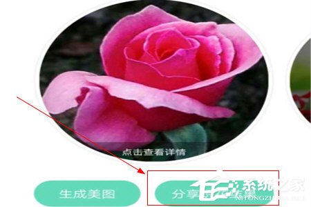 形色識花怎么分享到微信?形色識花怎么分享到微信的方法