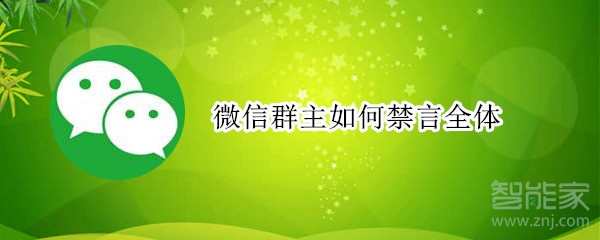 微信群主如何禁言全體