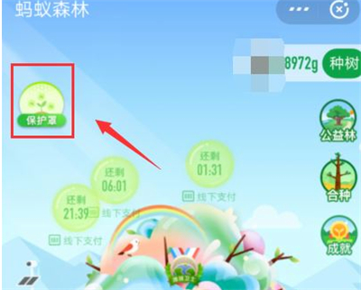 支付寶種樹彩色樹怎么弄的