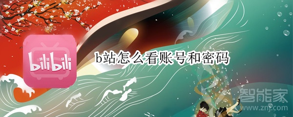 b站怎么看賬號和密碼