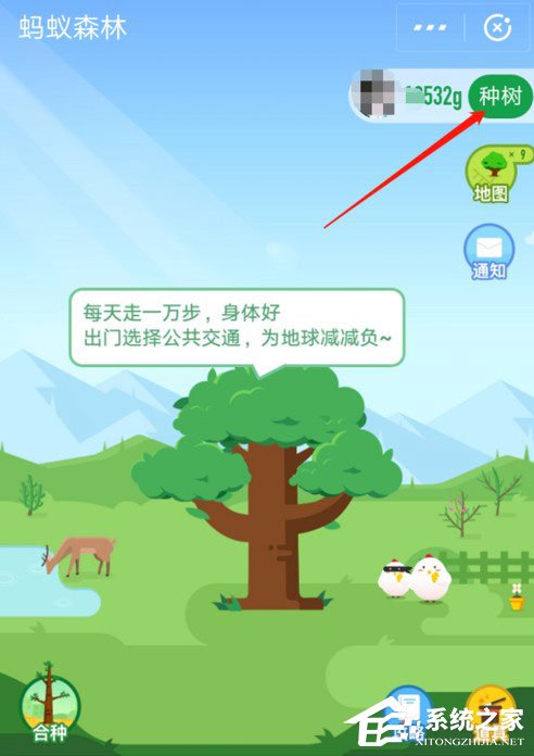 支付寶中怎么獲取螞蟻森林首頁小鹿?支付寶中獲取螞蟻森林首頁小鹿的方法