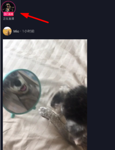 抖音看直播怎么關(guān)閉評(píng)論