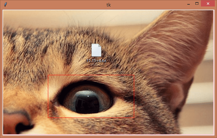 Python基于tkinter canvas實現圖片裁剪功能
