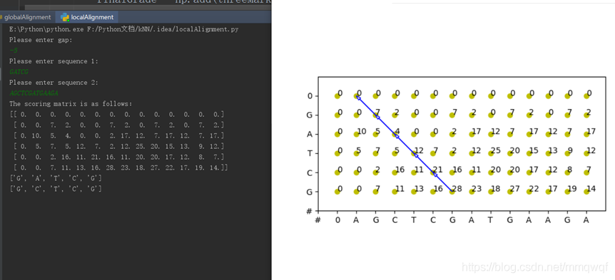 詳解基于python的全局與局部序列比對(duì)的實(shí)現(xiàn)(DNA)