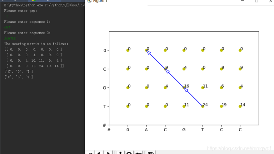 詳解基于python的全局與局部序列比對(duì)的實(shí)現(xiàn)(DNA)