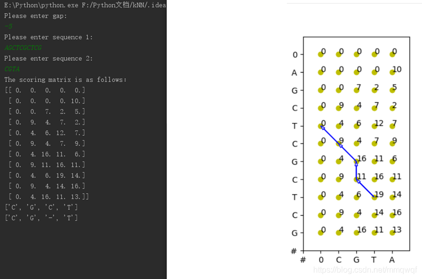 詳解基于python的全局與局部序列比對(duì)的實(shí)現(xiàn)(DNA)