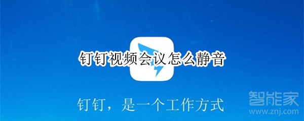 釘釘視頻會(huì)議怎么靜音