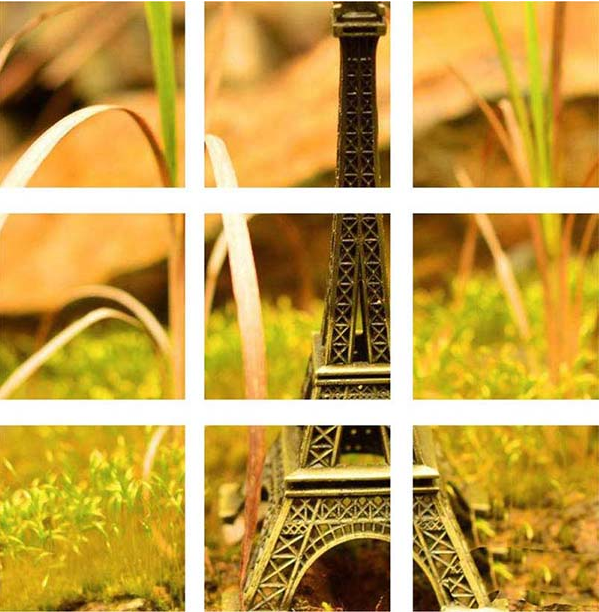 如何使用CDR制作朋友圈九宮格效果圖片 CDR制作朋友圈九宮格效果圖片的教程