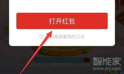 拼多多口令在哪里輸入