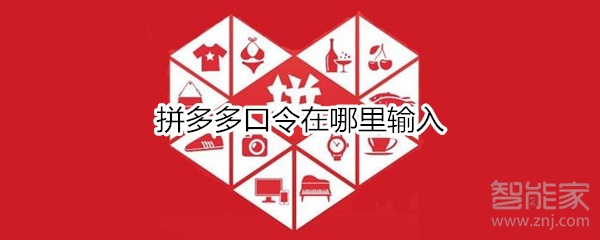 拼多多口令在哪里輸入