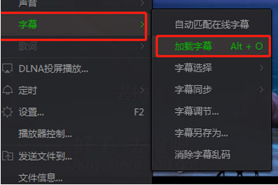 如何在愛奇藝萬能播放器中調字幕 愛奇藝萬能播放器中調字幕的具體教程