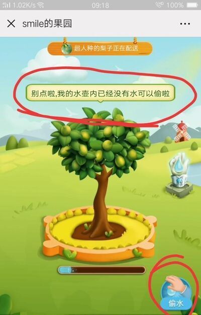 拼多多果園為什么不能偷朋友的水？多多果園種樹