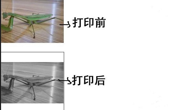 Win10打印圖片沒打印全怎么辦？