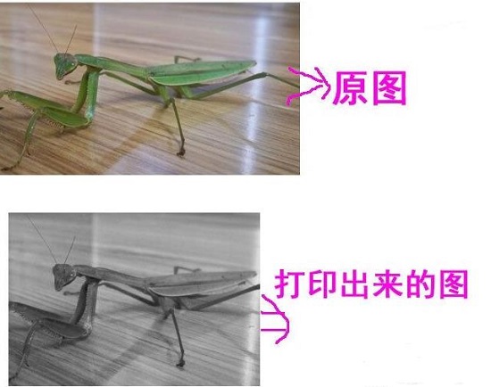 Win10打印圖片沒打印全怎么辦？