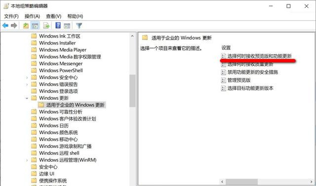 如何阻止電腦自動升級到Win10 21H1版本？