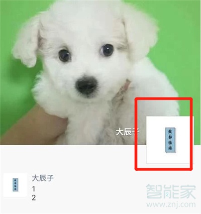 微信朋友圈怎么才能出現詳情