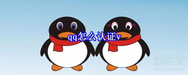 qq怎么認證v