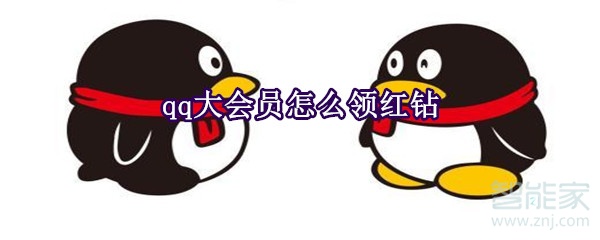 qq大會(huì)員怎么領(lǐng)紅鉆