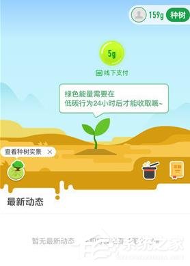 支付寶怎么在線上查看種樹 支付寶查看種樹的操作介紹