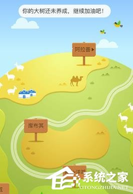 支付寶怎么在線上查看種樹 支付寶查看種樹的操作介紹