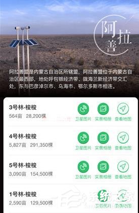 支付寶怎么在線上查看種樹 支付寶查看種樹的操作介紹