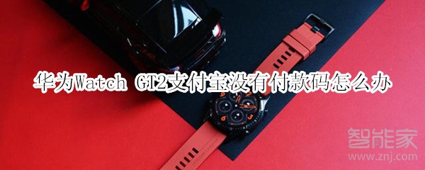 華為Watch GT2支付寶沒(méi)有付款碼怎么辦