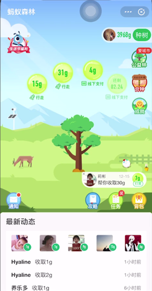 螞蟻森林104能量是什么