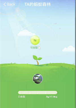 螞蟻森林偷能量多少是隨機的還是