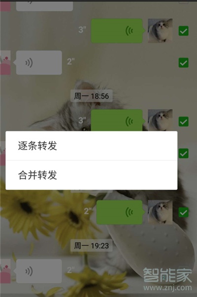 如何分享微信聊天記錄