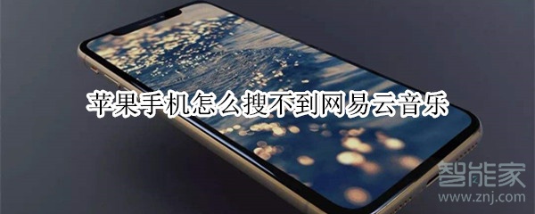 蘋果手機怎么搜不到網(wǎng)易云音樂